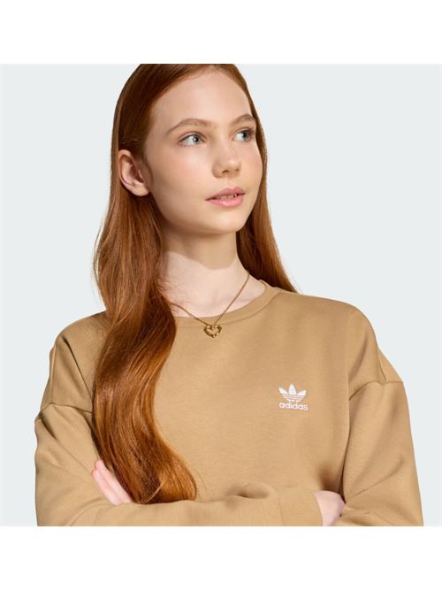 boyfriend crew ADIDAS ORIGINAL | JX2750CARDBO
